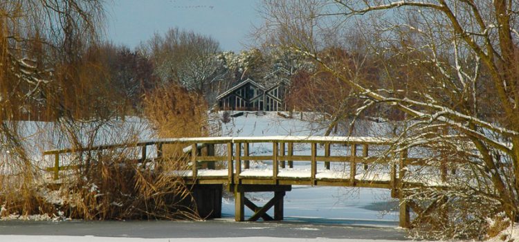 Winterlessen 2018 – 2019 Winterlessen 2018 – 2019